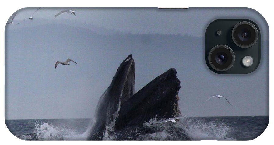 Water iPhone Case featuring the photograph Humpback by Lennie Malvone