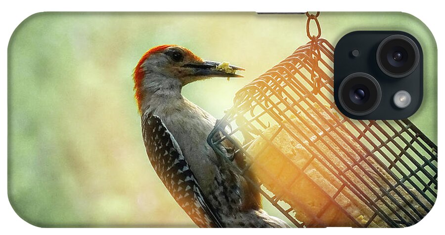 Photoshop iPhone Case featuring the photograph Hungry Woodpecker by Melissa Messick