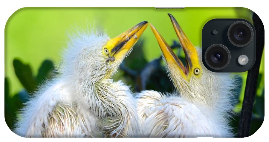 St. Augustine iPhone Case featuring the photograph Hungry Egret Chicks by Richard Bryce and Family