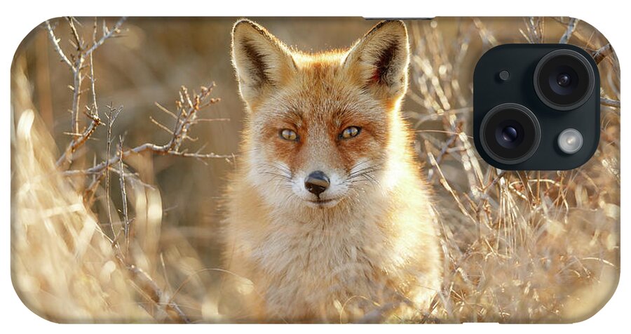 Red Fox iPhone Case featuring the photograph Hungry Eyes - Red Fox in the Bushes by Roeselien Raimond