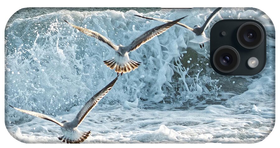 Seagulls iPhone Case featuring the photograph Hunting The Waves by Don Durfee