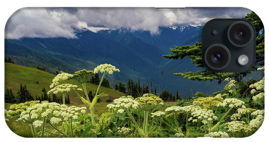 Hurricane Ridge iPhone Case featuring the photograph Hurricane Ridge Wildflowers and Clouds by Roslyn Wilkins