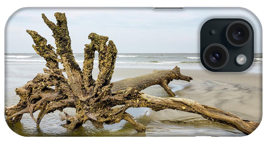 Tree iPhone Case featuring the photograph Hurricane Victim by Fran Gallogly