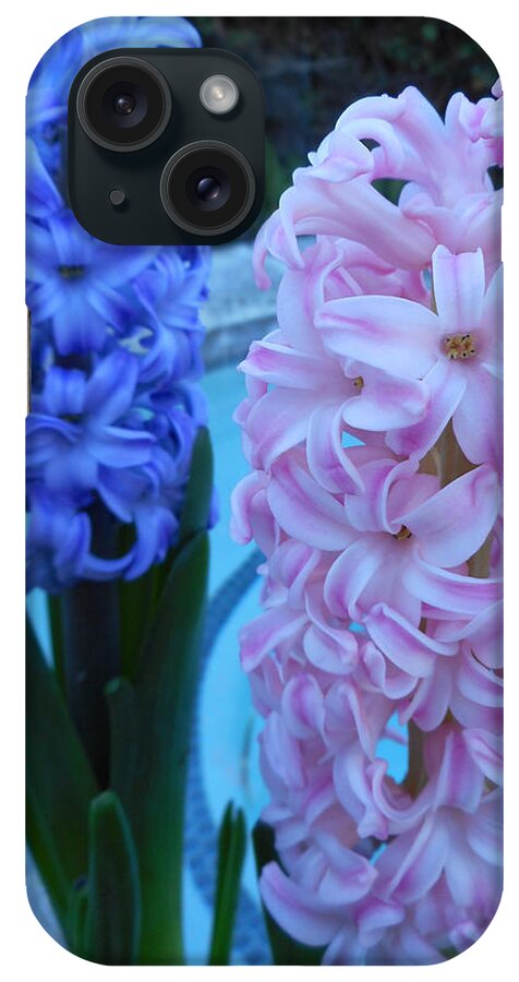 Flowers iPhone Case featuring the photograph Hyacinth 1 by Ron Kandt