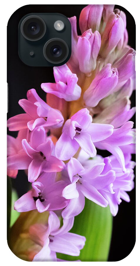 Hyacinth iPhone Case featuring the photograph Hyacinth by Cristina Stefan