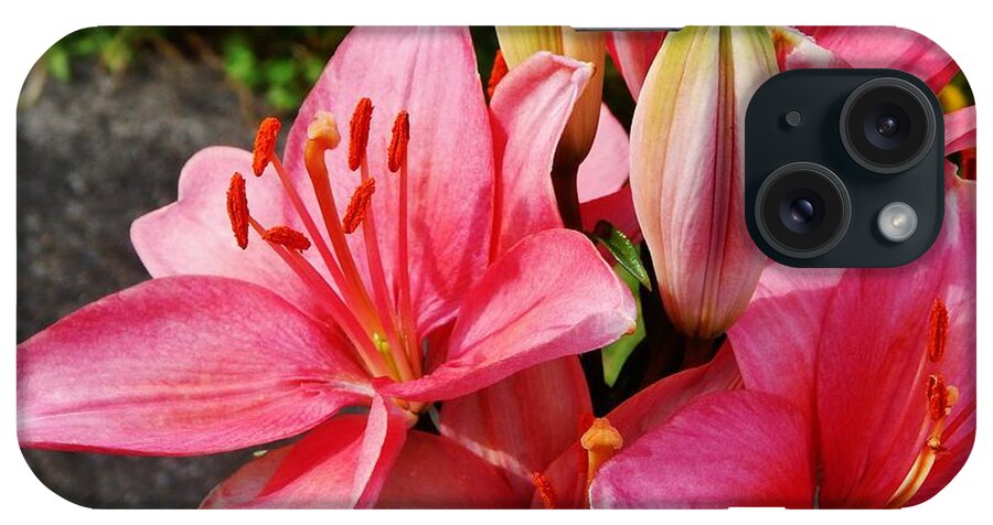 Flower iPhone Case featuring the photograph Hybrid Oriental Lilies by VLee Watson