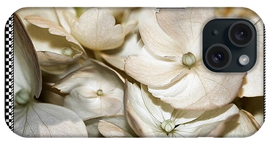 Hydrangea iPhone Case featuring the photograph Hydrangea Blossom 2 Framed by Andrea Lazar