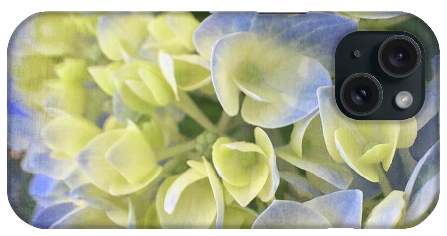 Flora iPhone Case featuring the photograph Hydrangea by Cathy Alba