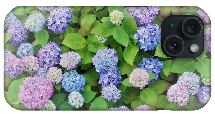 Hydrangea iPhone Case featuring the digital art Hydrangea Play by Ann Johndro-Collins