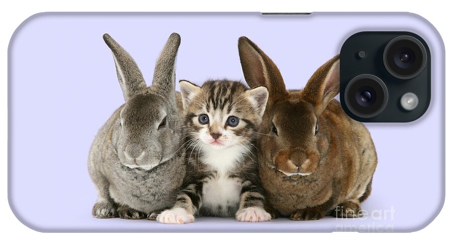 Tabby iPhone Case featuring the photograph I feel like a bunny sandwich by Warren Photographic