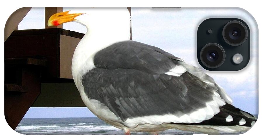 Seagull iPhone Case featuring the photograph I Hope Lunch Is Ready by Will Borden