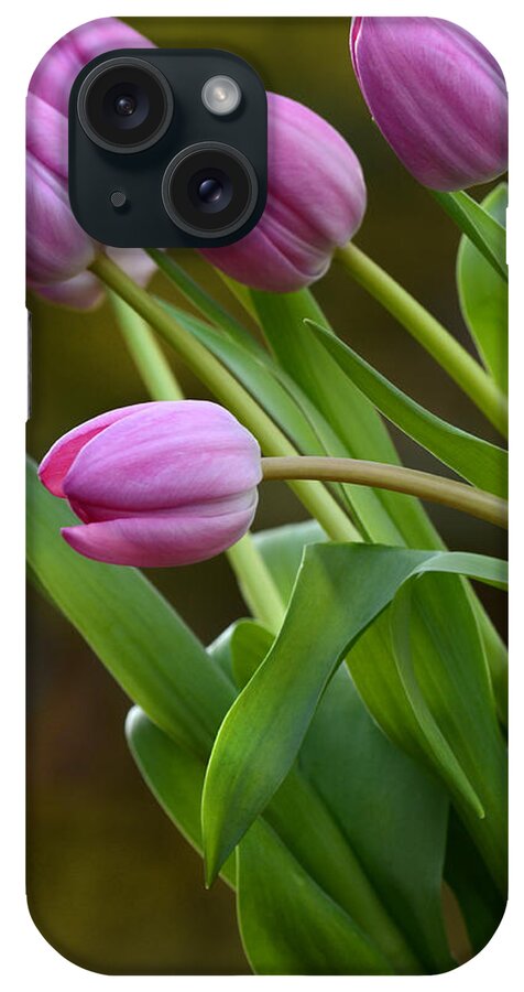 Beautiful iPhone Case featuring the photograph I Love Pink by Ann Bridges