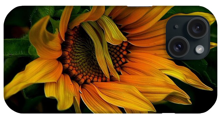 Sunflower iPhone Case featuring the photograph I Need A Comb by Elfriede Fulda