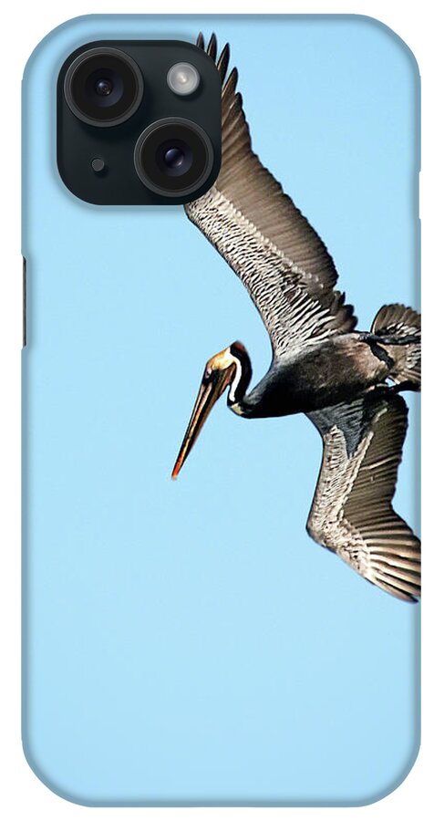 Alone iPhone Case featuring the photograph I See Dinner by Dawn Currie