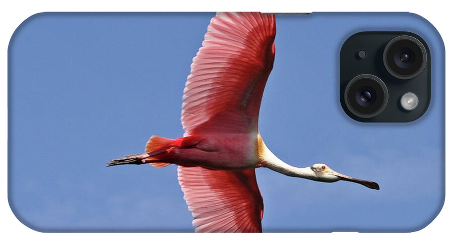 Roseate Spoonbill iPhone Case featuring the photograph I Wanna Fly Like An Eagle by Lydia Holly