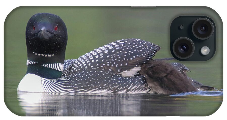 Loon iPhone Case featuring the photograph I want up by Brook Burling