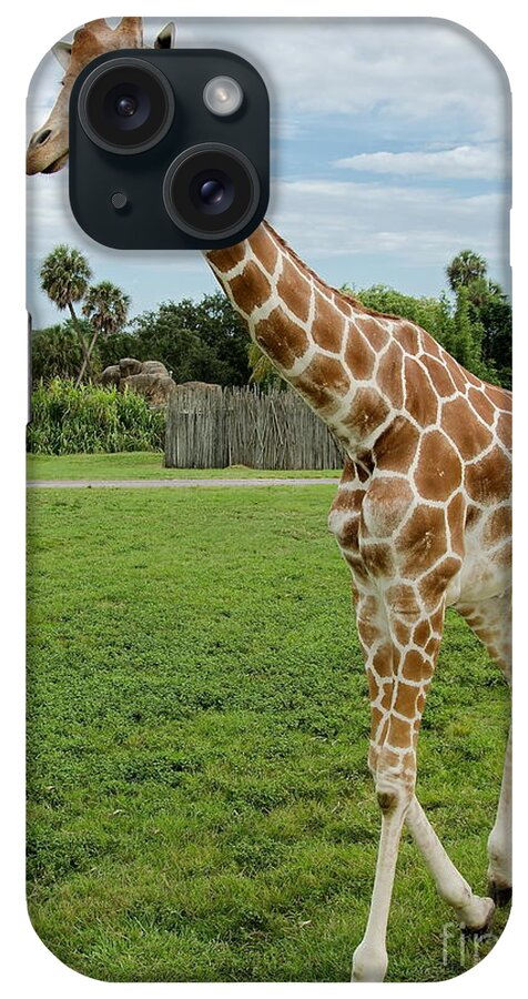 Giraffe iPhone Case featuring the photograph I Will Follow You by Carol Bradley