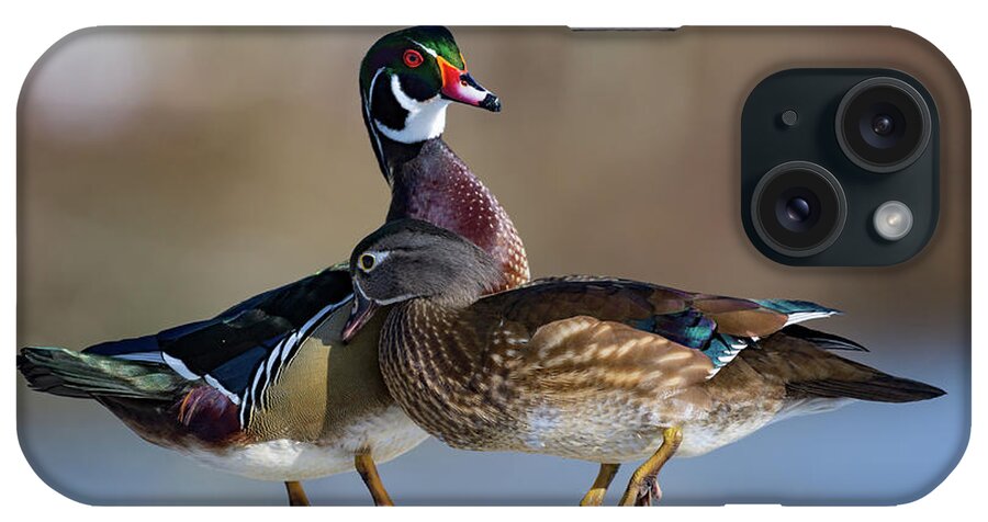 Ducks iPhone Case featuring the photograph I Wuv You by Jim Hatch