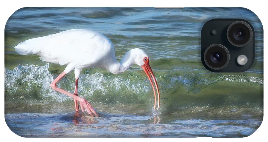 White Ibis iPhone Case featuring the photograph Ibis Morning Ocean Glow by Barbara Chichester