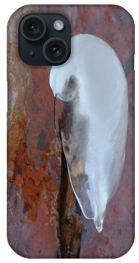 Ice iPhone Case featuring the photograph Ice Birdy by Annekathrin Hansen