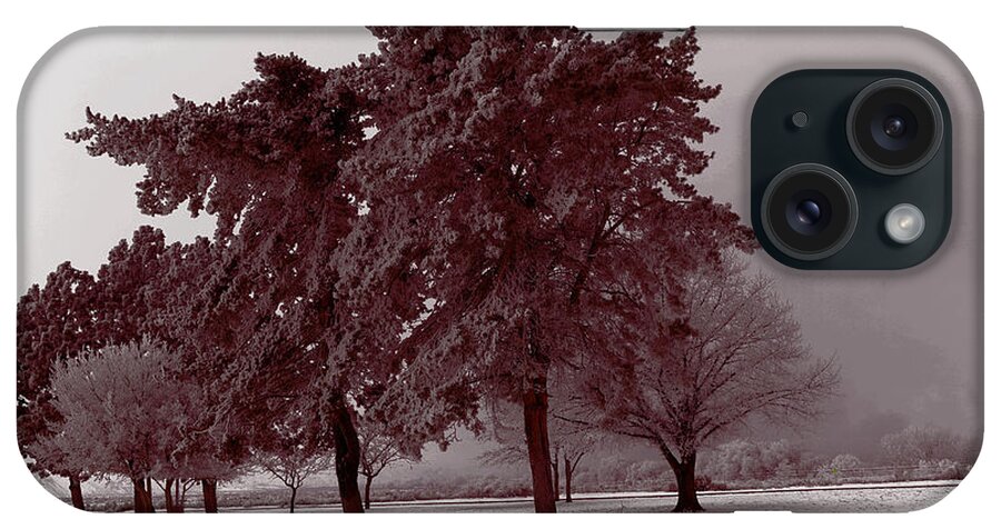 Tree iPhone Case featuring the photograph Ice Storm by Jeff Swan