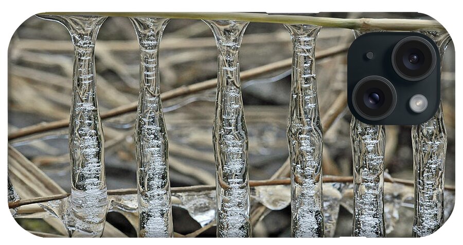 Winter iPhone Case featuring the photograph Icicles On A Stick by Glenn Gordon