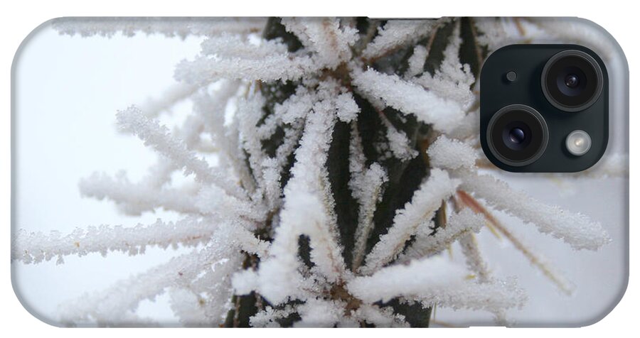 Ice Crystals iPhone Case featuring the photograph Icy Cactus by Ric Bascobert