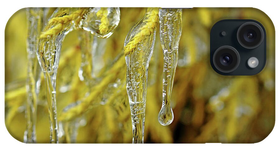 Ice iPhone Case featuring the photograph Icy Gold by Debbie Oppermann