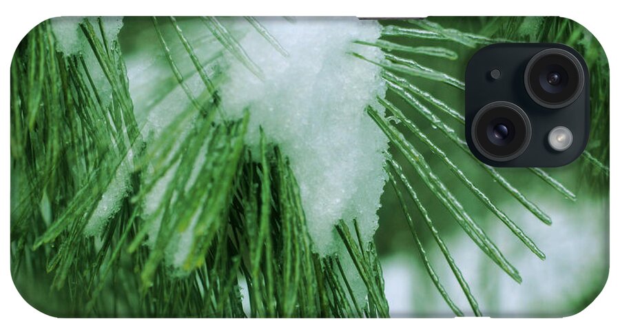 Winter iPhone Case featuring the photograph Icy Pine Needles by Smilin Eyes Treasures
