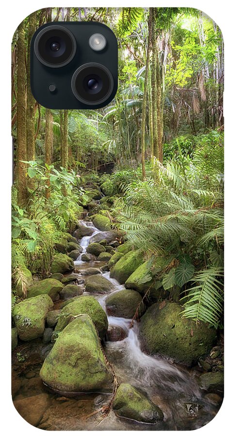 Alakahi Stream iPhone Case featuring the photograph Idyllic Stream by Susan Rissi Tregoning