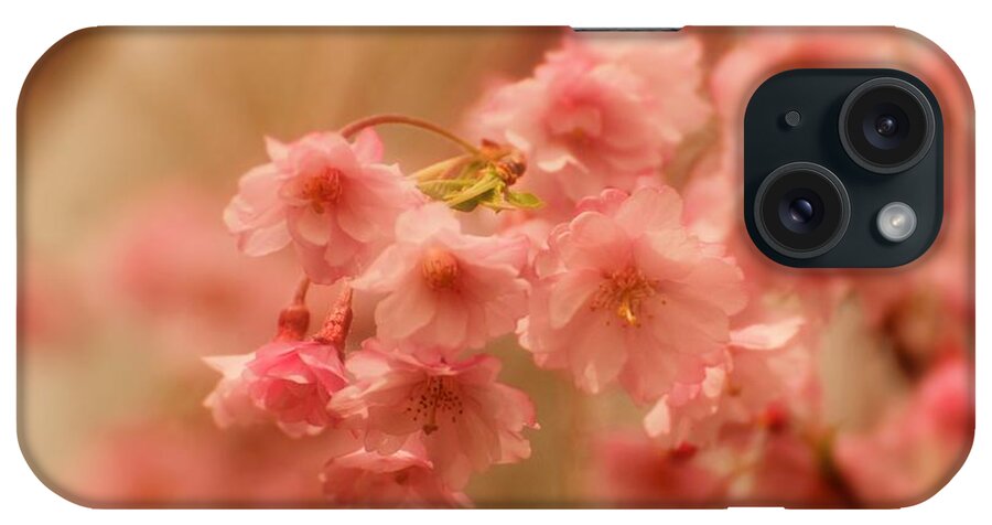 Cherry Blossom Trees iPhone Case featuring the photograph If Only For A Moment by Angie Tirado
