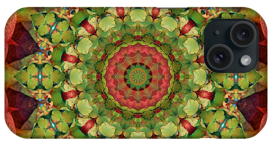 Mandalas iPhone Case featuring the photograph Illumination by Bell And Todd