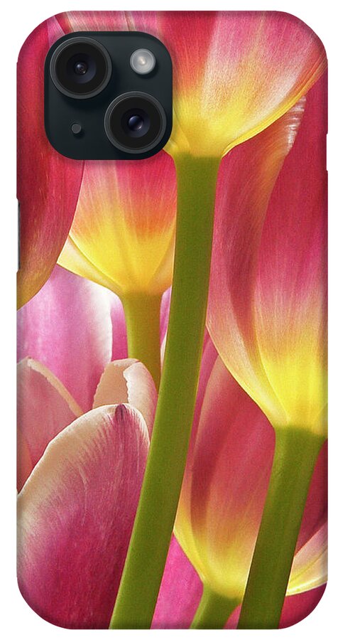 Floral iPhone Case featuring the photograph Illumined Tulips by Lauralee McKay