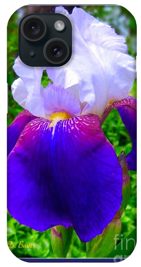 Tennessee State Flower Blue Purple Siberian Iris With Filtered Sunlight In Background Nature Scene Photography And Digital Flower Works iPhone Case featuring the painting I'm Dreaming of Irises by Kimberlee Baxter