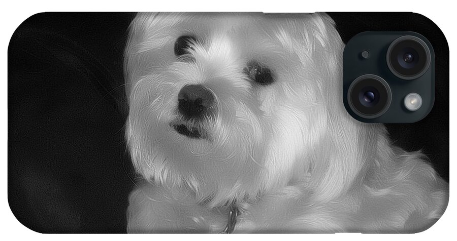 Dog iPhone Case featuring the digital art I'm The One For You by Kathy Tarochione