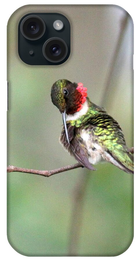 Ruby-throated Hummingbird iPhone Case featuring the photograph IMG_4504-002 - Ruby-throated Hummingbird by Travis Truelove