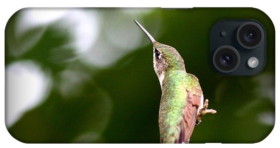 Ruby-throated Hummingbird iPhone Case featuring the photograph IMG_4948 - Ruby-throated Hummingbird by Travis Truelove