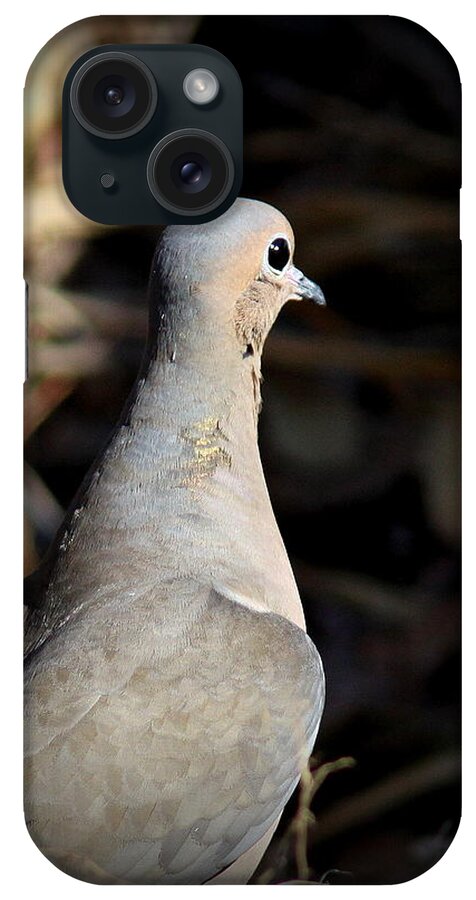 Mourning Dove iPhone Case featuring the photograph IMG_5005 - Mourning Dove by Travis Truelove