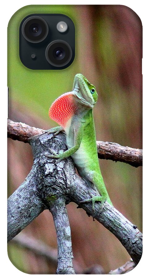 Green Anole iPhone Case featuring the photograph IMG_5288-003 - Green Anole by Travis Truelove