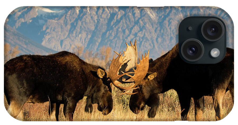 Moose iPhone Case featuring the photograph Impasse by Aaron Whittemore