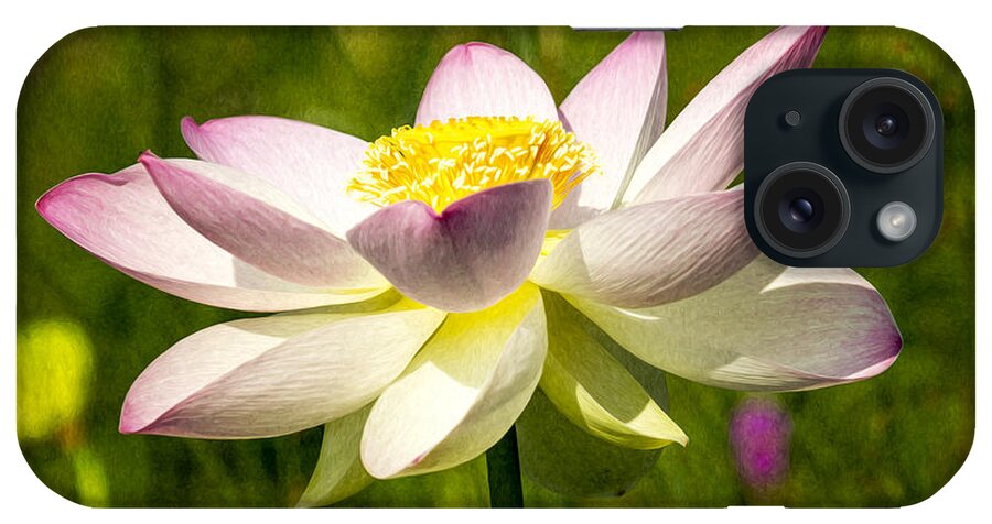 Art iPhone Case featuring the photograph Impression Of A Lotus by Edward Kreis
