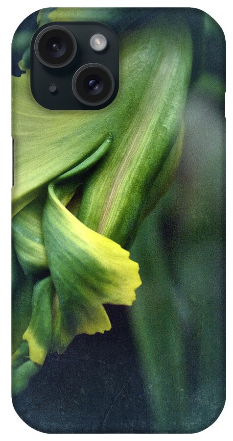 Tulip iPhone Case featuring the photograph Impression Tulip by Richard Cummings