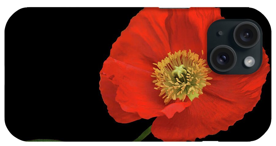 Flower iPhone Case featuring the photograph In Flanders Field - Red Poppy by Nikolyn McDonald