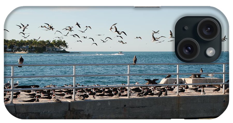 Birds iPhone Case featuring the photograph In Flight by Jim Goodman