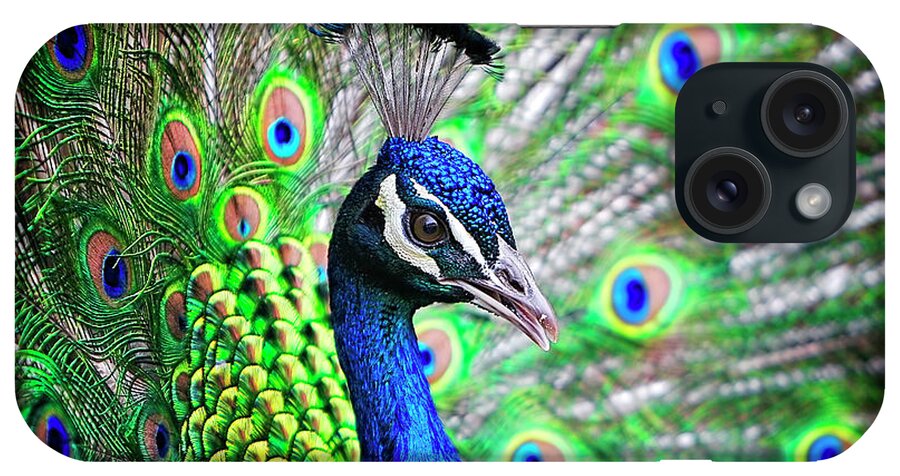 Beauty iPhone Case featuring the photograph In Full Display by Lincoln Rogers