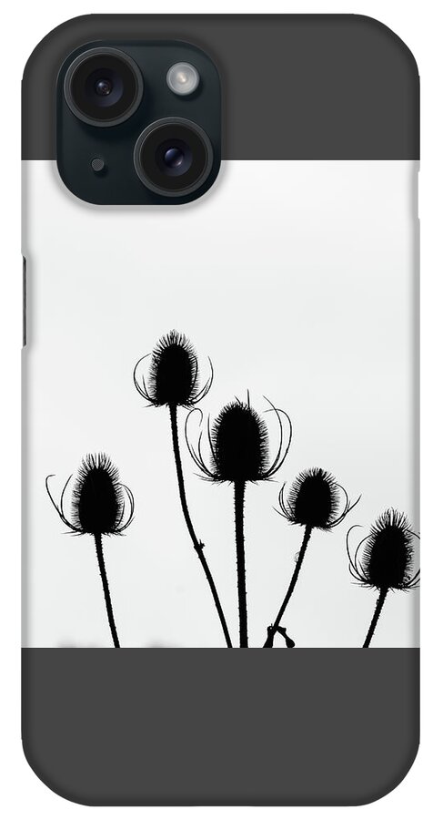 Nature iPhone Case featuring the photograph In Order by Wendy Cooper