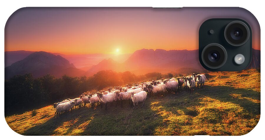 Sheep iPhone Case featuring the photograph In Saibi with companionsheep by Mikel Martinez de Osaba