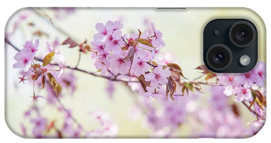 Jenny Rainbow Fine Art Photography iPhone Case featuring the photograph In Tender Bloom. Spring Watercolors by Jenny Rainbow