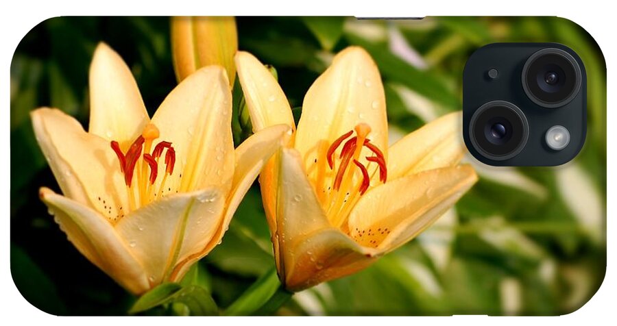 Lilly Flowers iPhone Case featuring the photograph In The Beginning by Angie Tirado