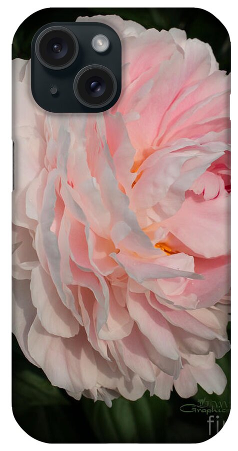 Photo iPhone Case featuring the photograph In the Evening Sun by Jutta Maria Pusl